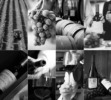 威宁葡萄酒生产企业模板网站开发